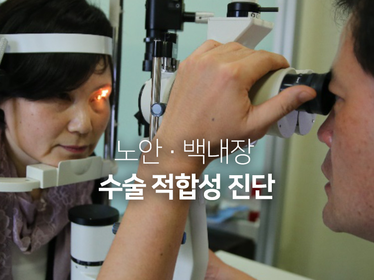 노안 · 백내장 수술 적합성 진단