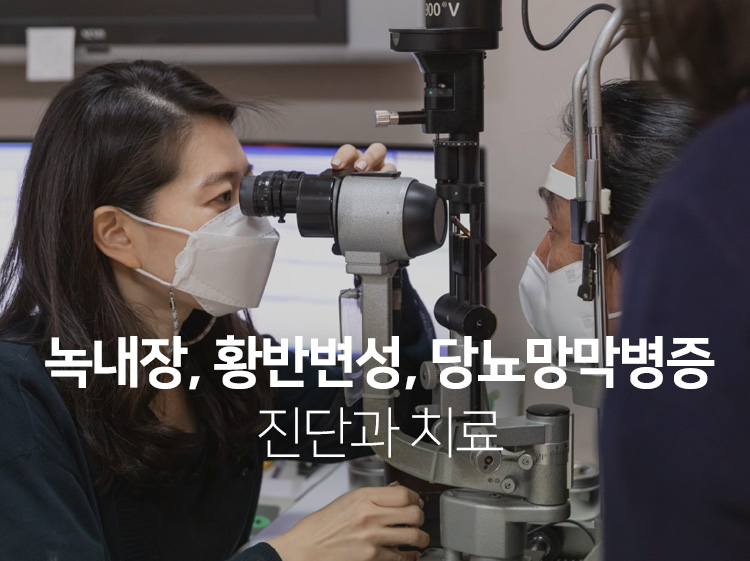 녹내장, 황반변성, 당뇨망막병증 진단과 치료