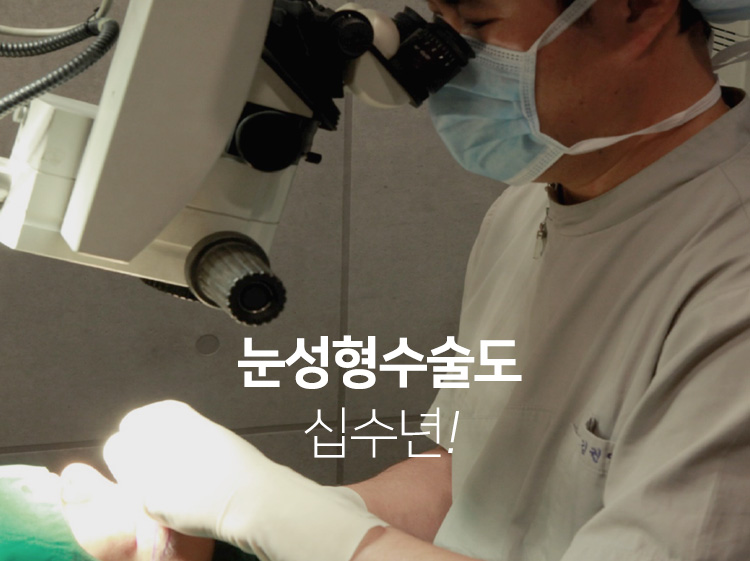 눈성형수술도 십수년!